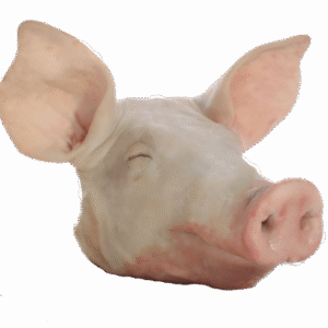 Cabeca de Porco - portion de 0,100 Kg
